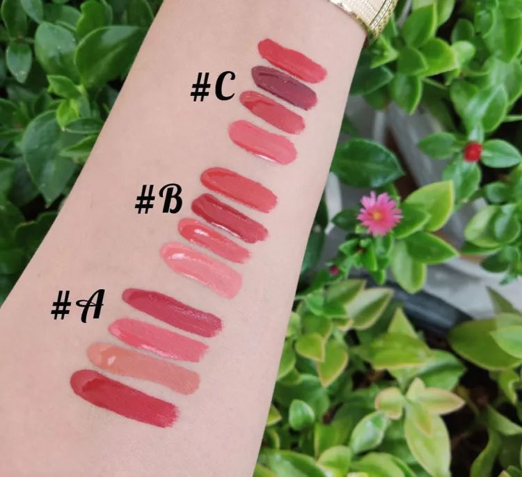 4 In 1 Mocallure Long Lasting Velvet Matte Lip Gloss