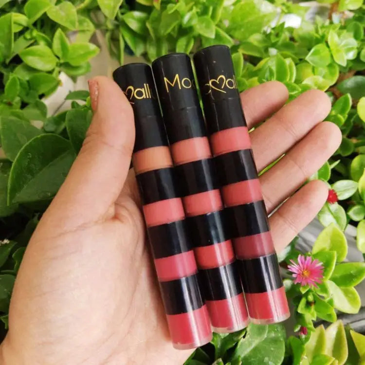 4 In 1 Mocallure Long Lasting Velvet Matte Lip Gloss
